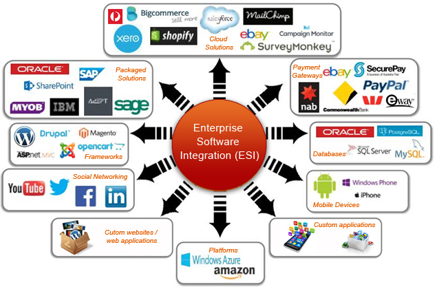 Enterprise-software-integration